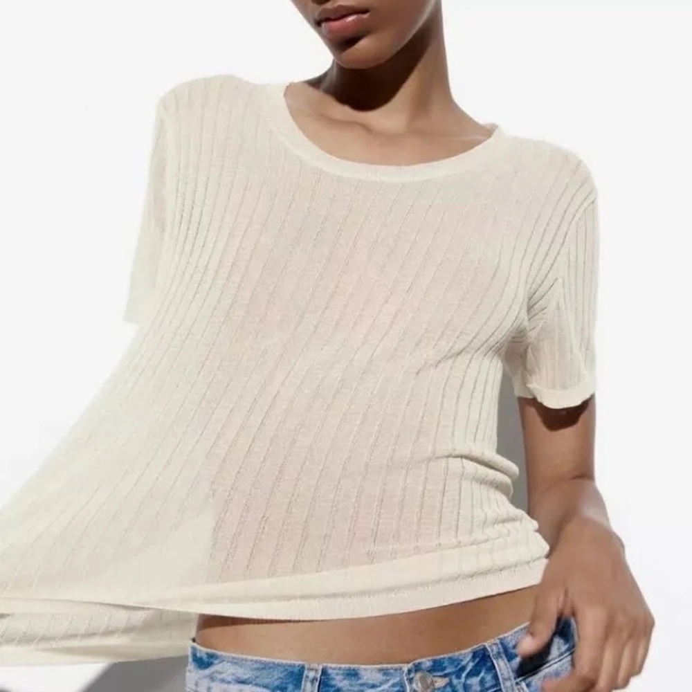 Zara Sheer Beige Ribbed Knit Top